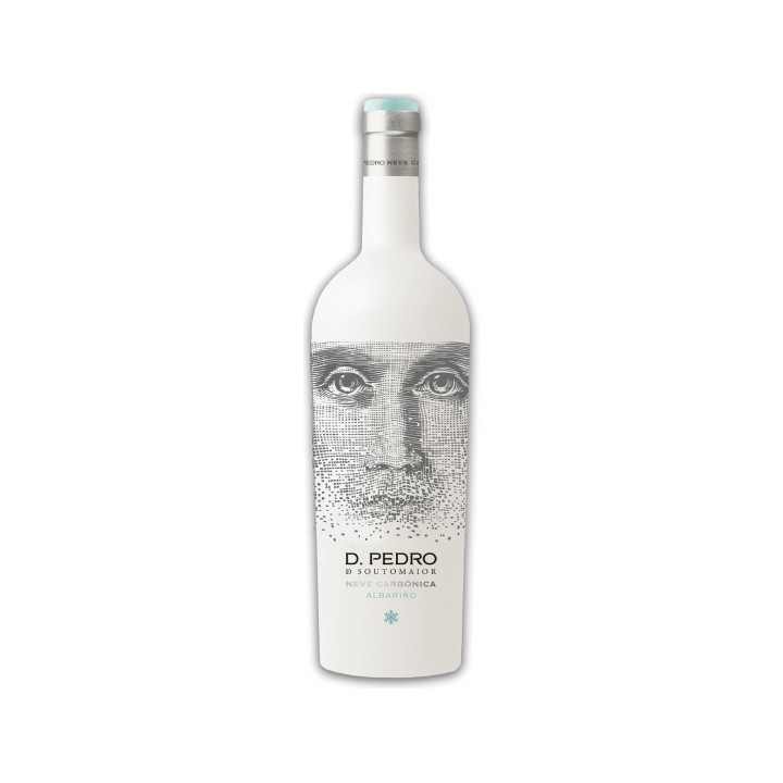 PEDRO SOUTOMAIOR NIEVE CARBÓNICA