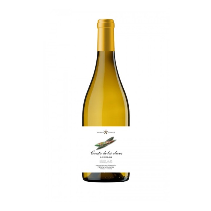 GODELLO CUESTA DE LOS OLIVOS 