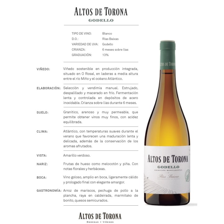 CESTA DEGUSTACIÓN CATA